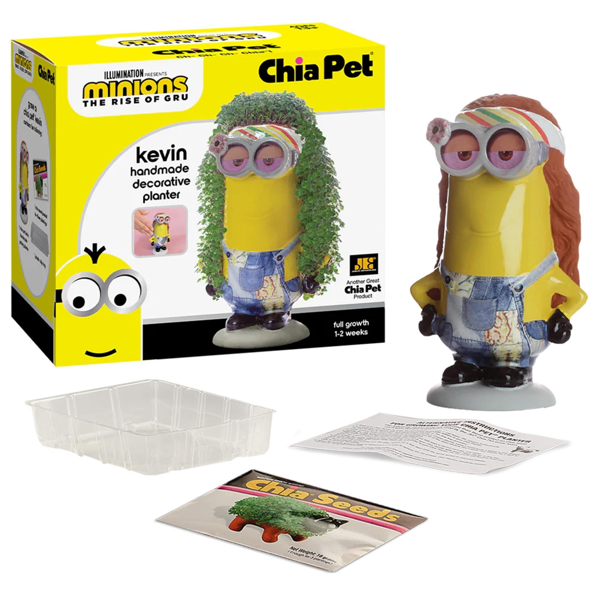 Minions Kevin Chia Pet - Image 4