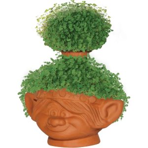 Trolls World Tour Poppy Chia Pet
